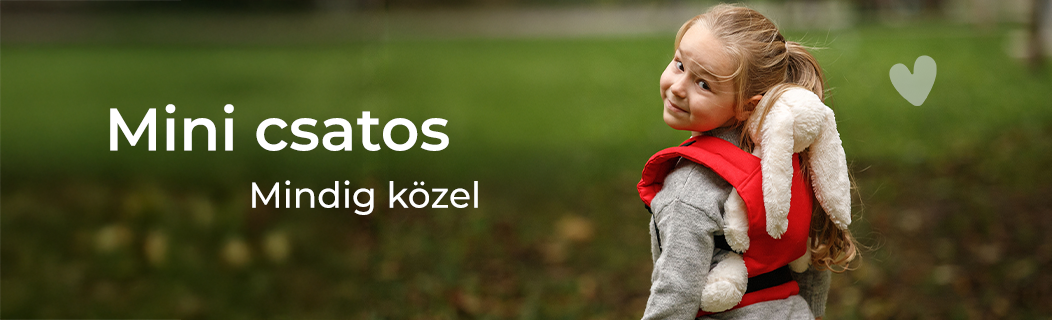 Mini csatos