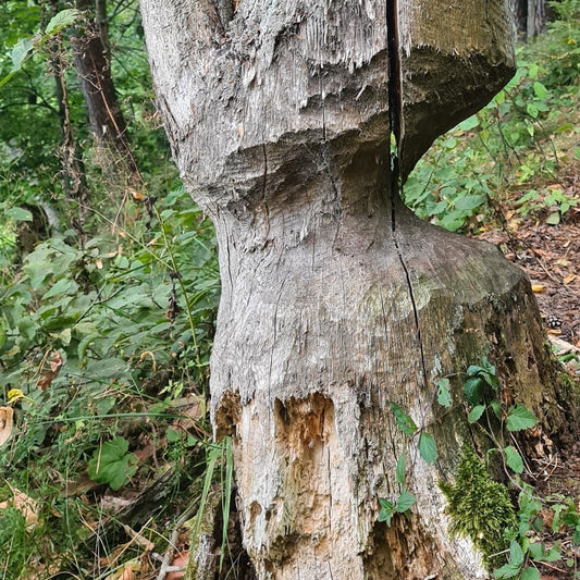 A párkapcsolati erőszak nem magánügy